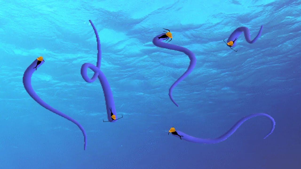Sea Sketches: How Copepods Eat