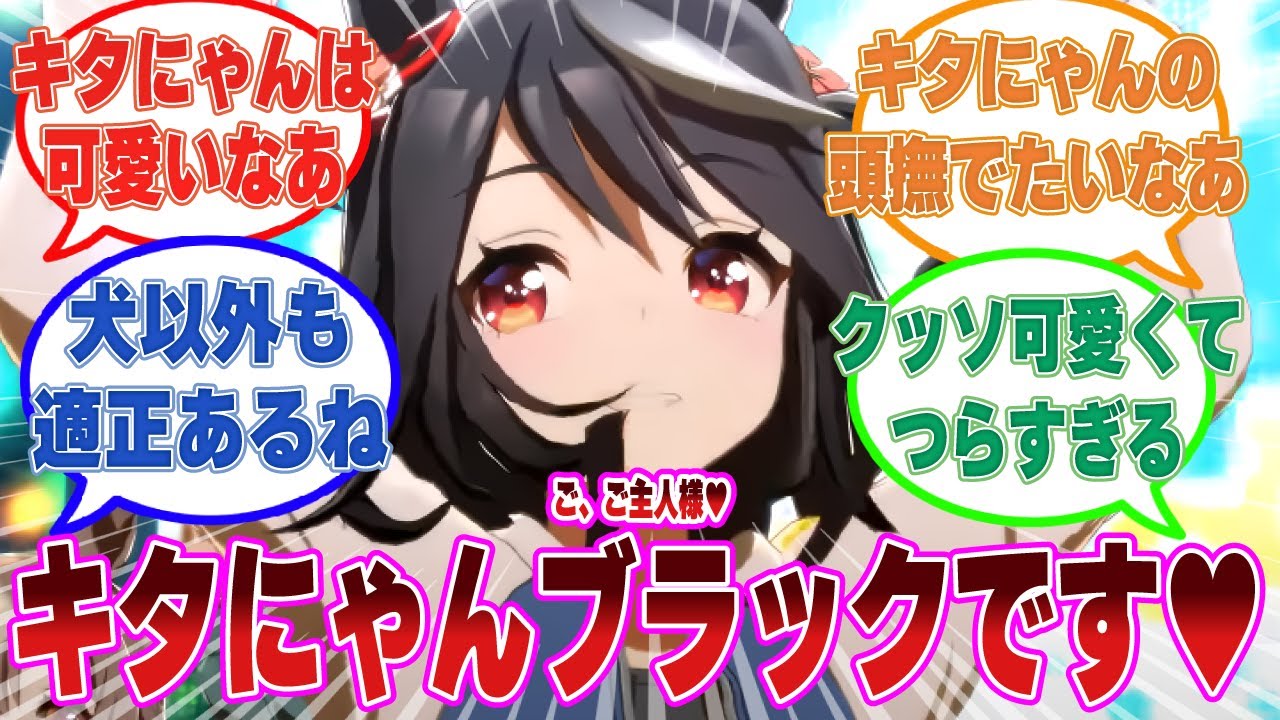 猫の動画に目を奪われるトレーナーの気を引くためにキタにゃんブラックになってしまったキタサンブラックに対する反応集【ウマ娘/まとめ/反応集】