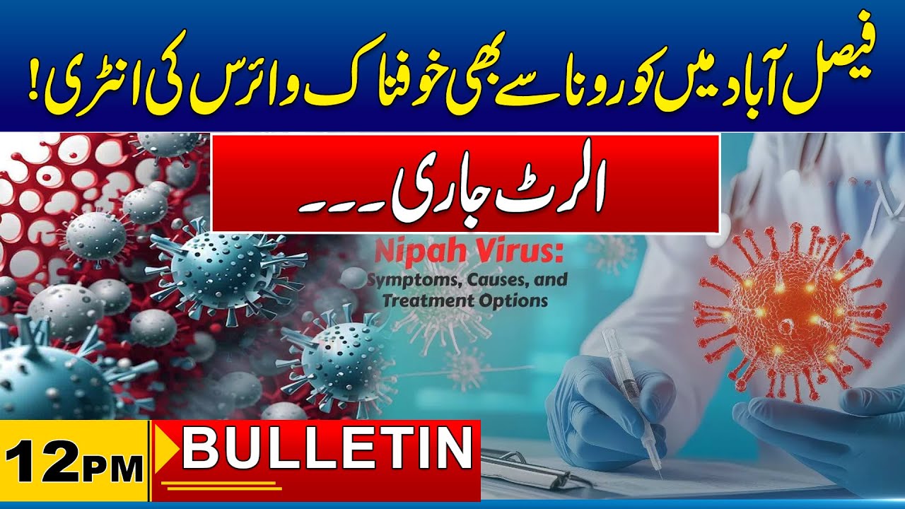 12 PM News Bulletin | 02 Feb 2026 | City 41