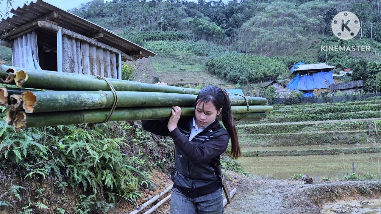 Single Mom Sowing Rice Seedlings in the Cold Winter Field | Rural Life