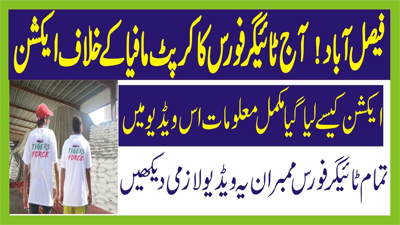 Action Tiger Force Faisalabad I Today Duty Work Tiger Force New Update I Best Duty work Tiger Force