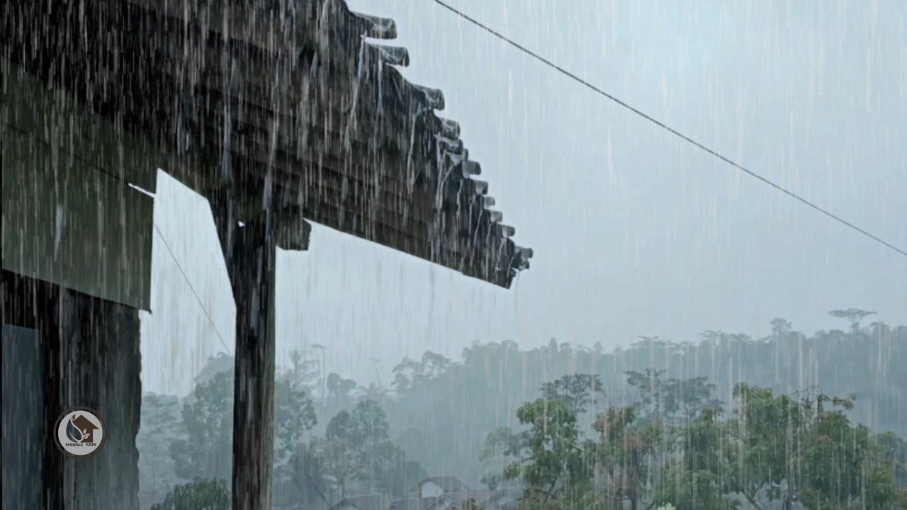 Authentic Shingle Roof Rain in the Countryside | Deeply Calming, No Music