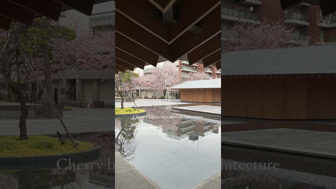 桜と建築 Sakura, 隈研吾| 瑞聖寺,Zuisyo-ji, Japanese Cherry Blossom on Japanese Modern Architecture