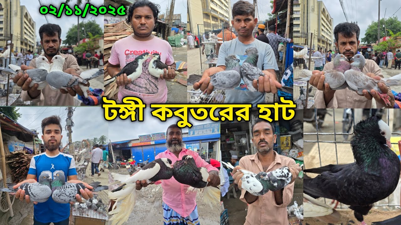 ০২/১১/২০২৫ টঙ্গী কবুতরের হাট | Tongi kobutor hat 2025 | Biggest Pigeon Market in Bangladesh 2025