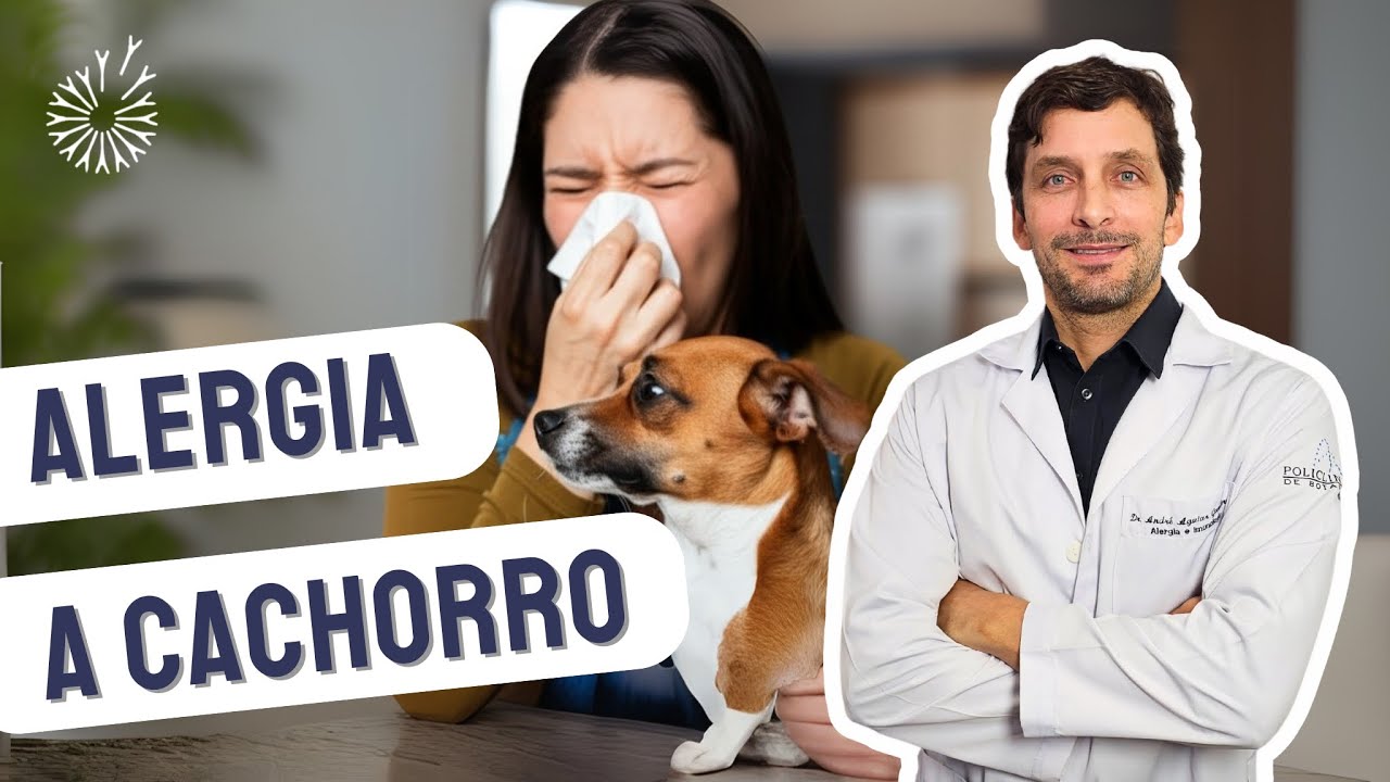 ALERGIA A PELO DE CACHORRO E COMO TRATAR | #alergias  #alergista #rinite #cachorros