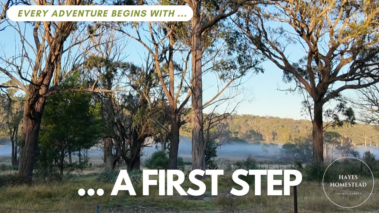 56 Acre FARM RENOVATION - off-grid dreams - TOUR