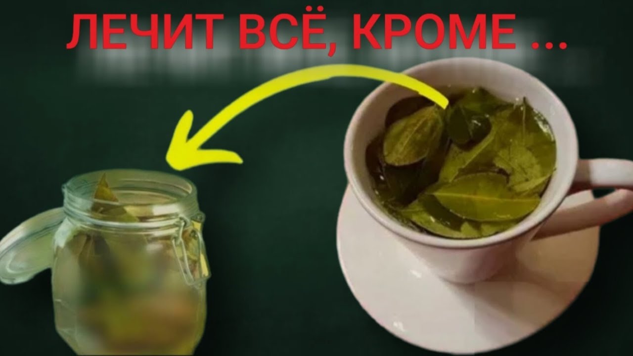 Все о лавровом листе ... #здоровье 