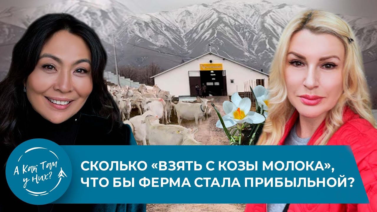Сколько «взять с козы молока», что бы ферма стала прибыльной? с Кожакановой Жулдыз 