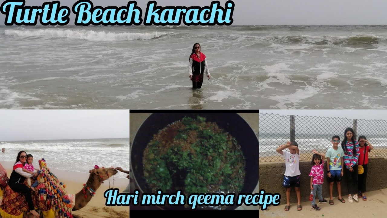 Turtle Beach karachi 2023 ||turtle beach huts price ||Hari mirch Qeema recipe||honey bani vlogs.