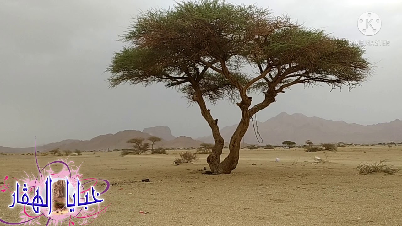 بقاين تمنراست 💃🏾💃🏾أعراس عائلة بن مسعود بأدريان 2020♥💃🏾
