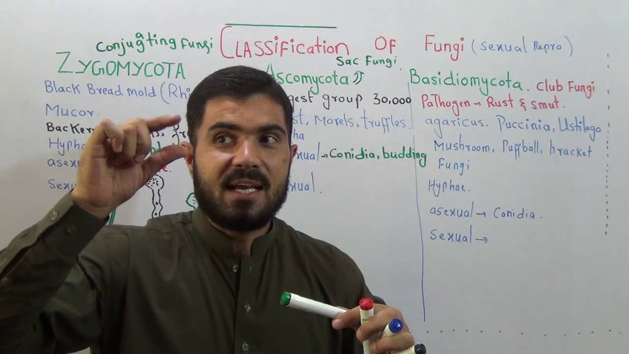 L-4 Classification of Fungi / sexual reproduction/ important points from exam point