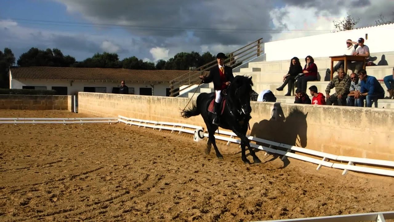 Trofeu Federacio Doma Menorquina 2015  Bintaufa,Menorca