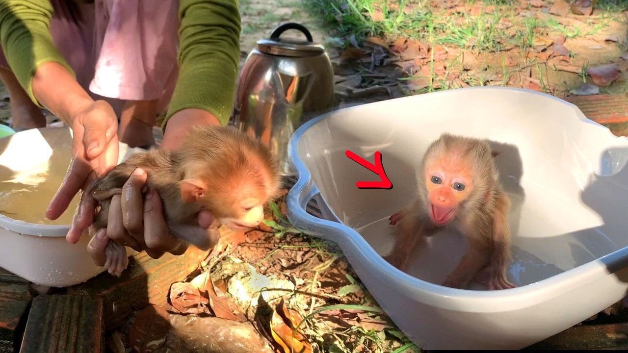 [Oh God..] The BabI Seizureee Refuse Mom Take Him To Bath