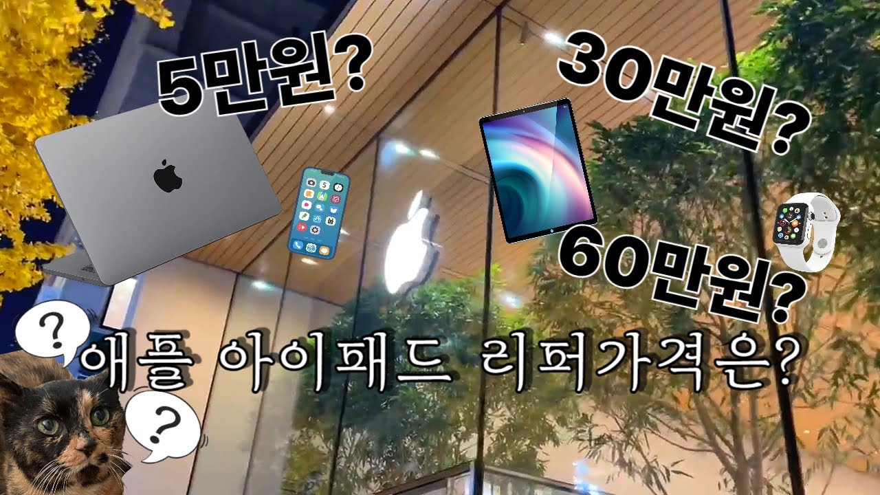애플 밉지만 그래도 이쁜...그리고 초보집사 고양이 강급하기 약먹이기 꿀팁 추가!
