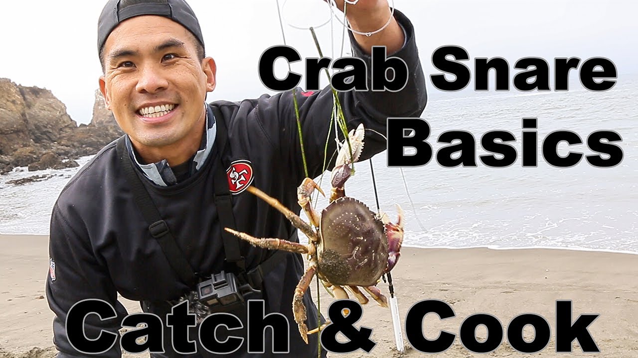 How to Crab Snare Catch & Cook