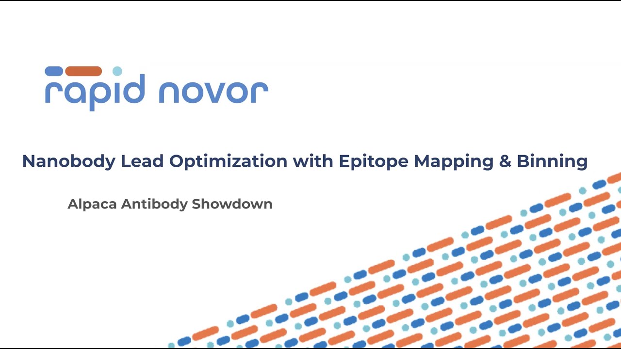 Nanobody Lead Optimization with Epitope Mapping and Binning