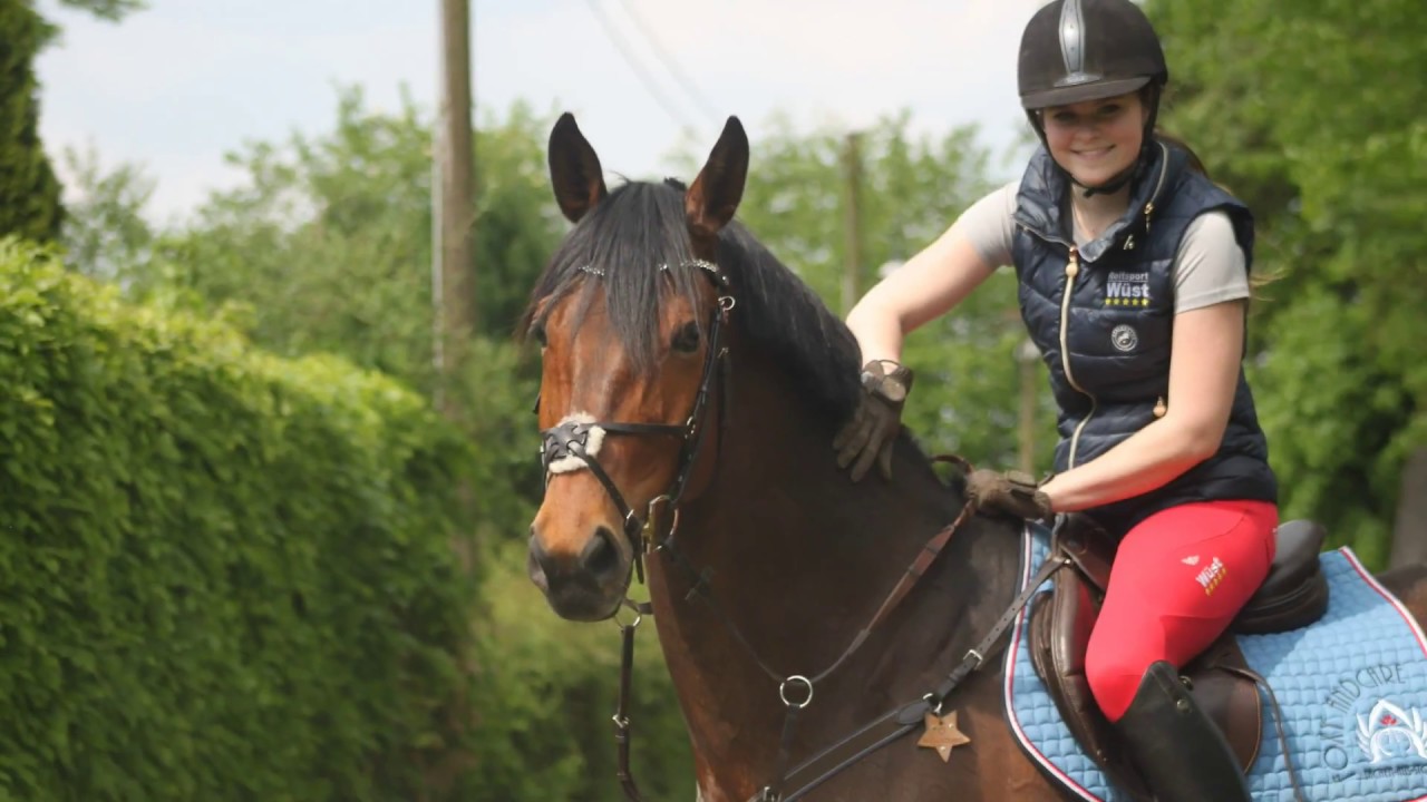 Meine Springausrüstung  ♥🐴