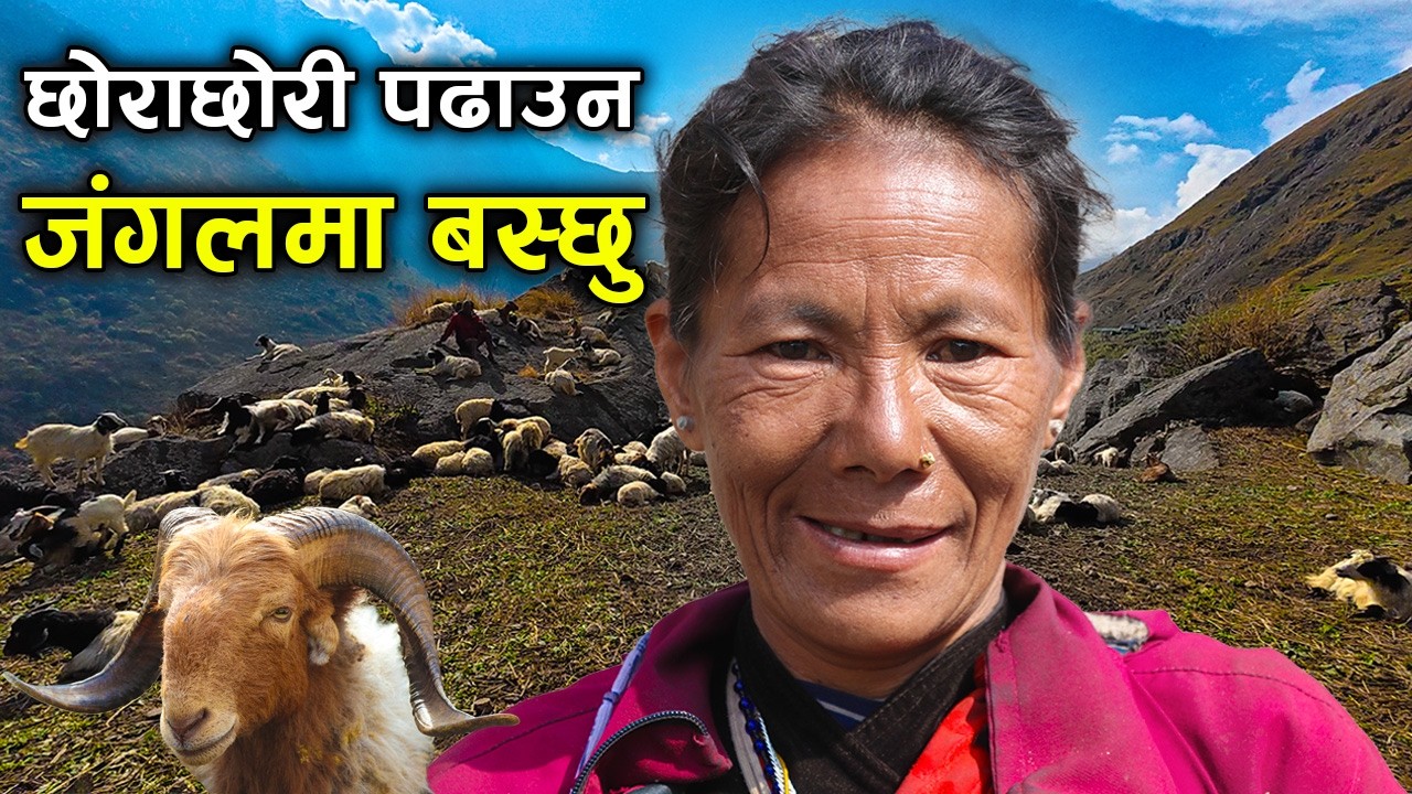 छोराछोरी पढाउन जंगलमा बसेकी गोठालो आमाको मनछुने कथा ! आमासँगै बा पनि जंगलमा ||kiranpaudel