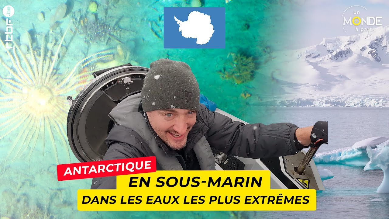 Antarctique : en sous-marin dans les eaux les plus extrêmes - Un Monde à part