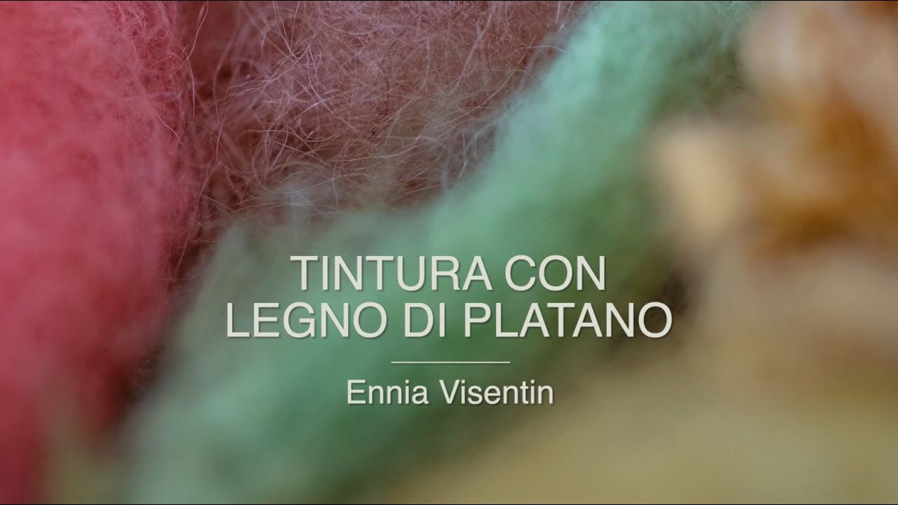Tintura con il legno di platano // Intrecci di memorie