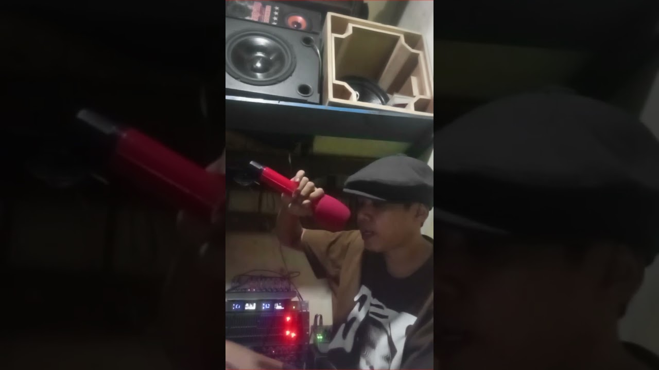 Ferdi Boy - Three Little Birds Cover