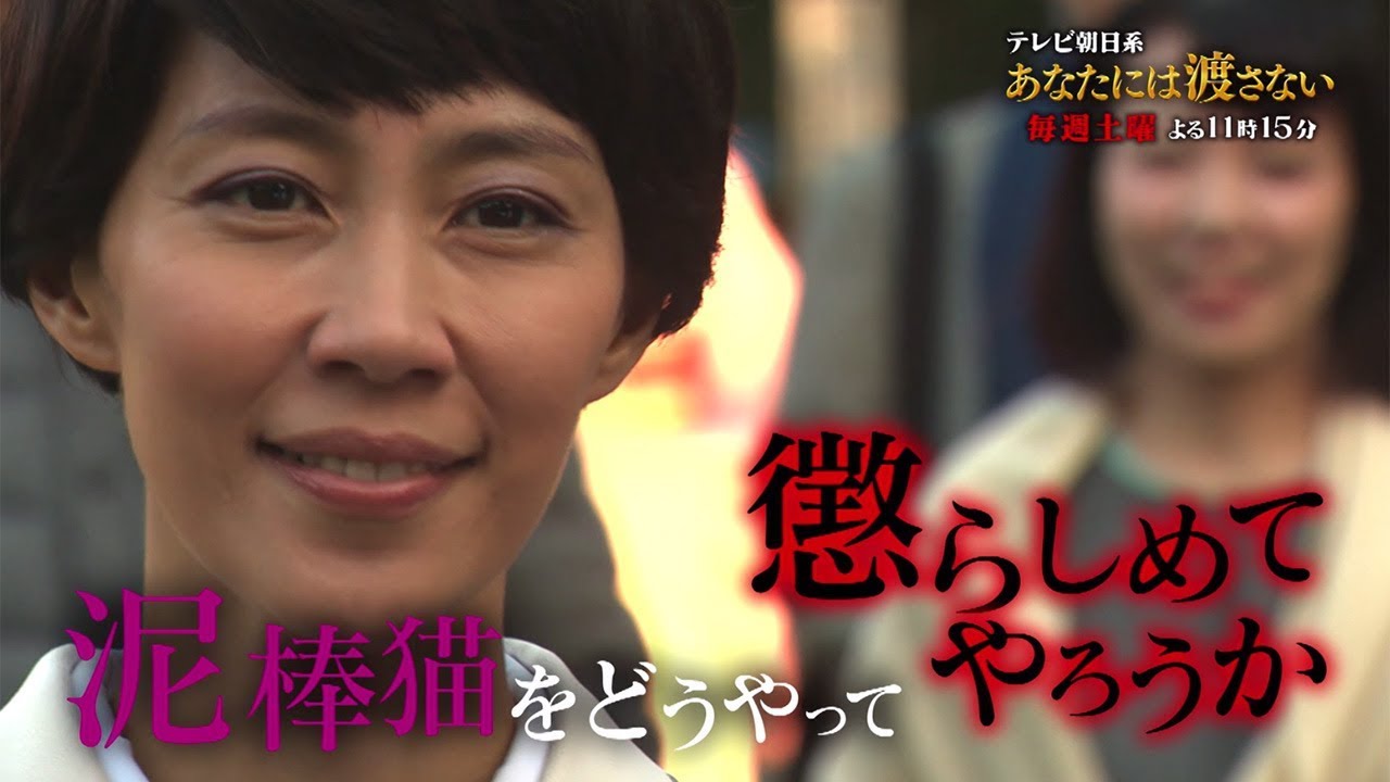 木村佳乃、水野美紀らが衝撃せりふ連発！　ドラマ「あなたには渡さない」特別映像が公開
