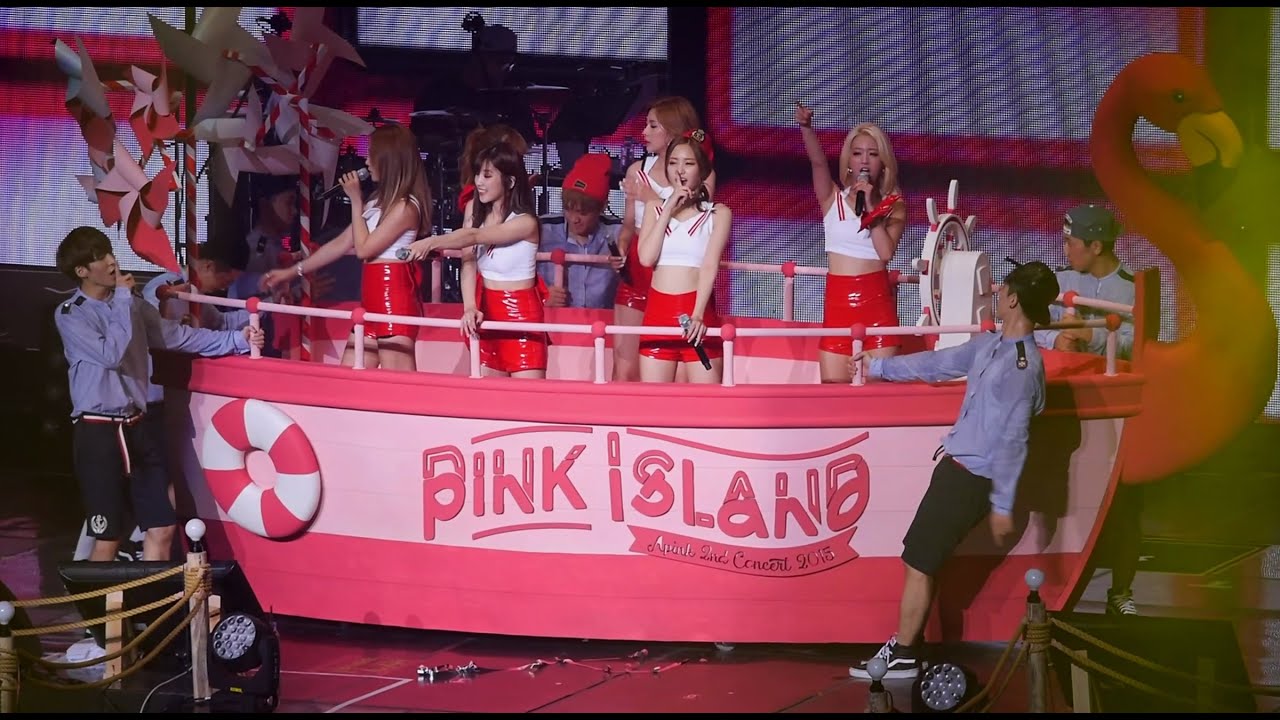 [직캠] 에이핑크 Apink - HUSH (에이핑크 콘서트)