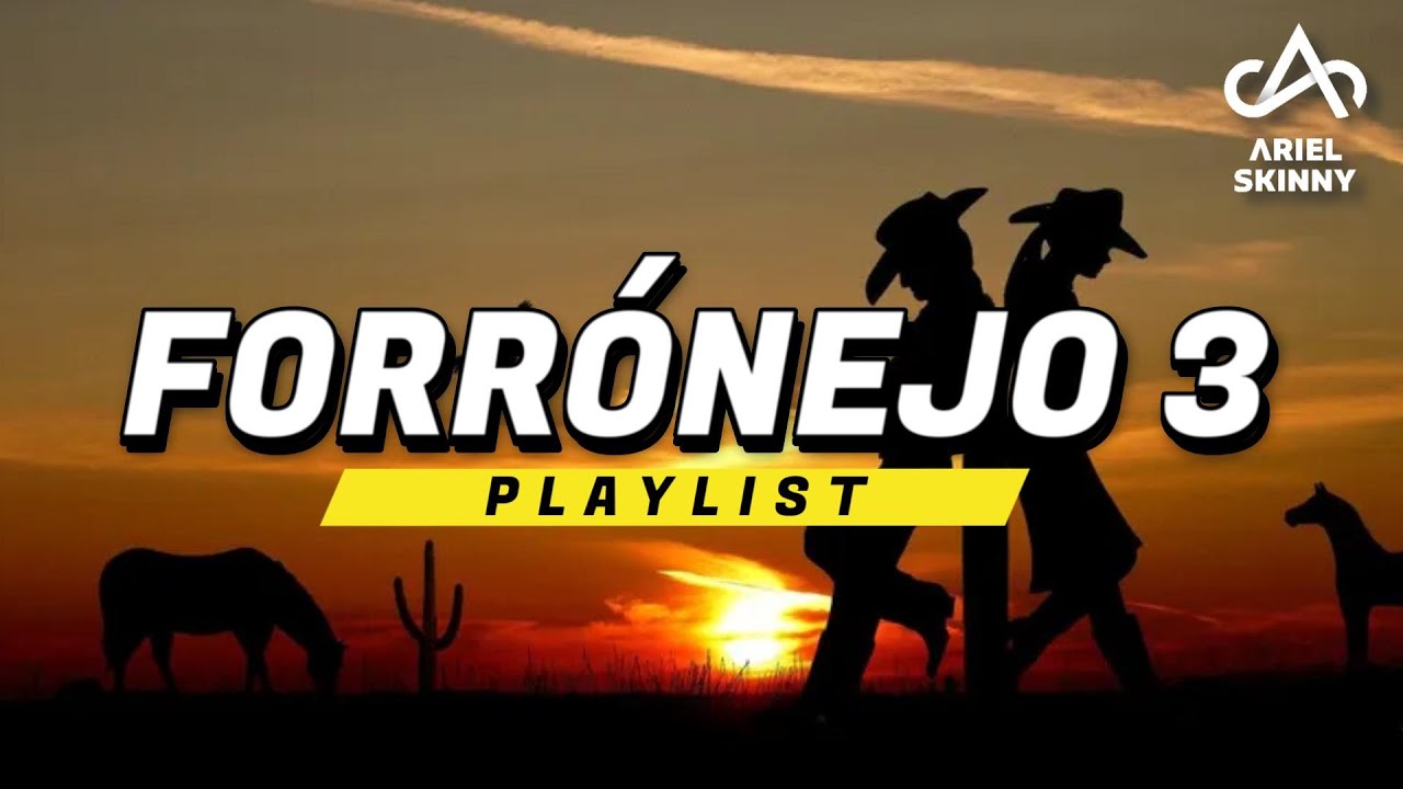 FORRÓNEJO 3 - PLAYLIST [Prod. Ariel Skinny]