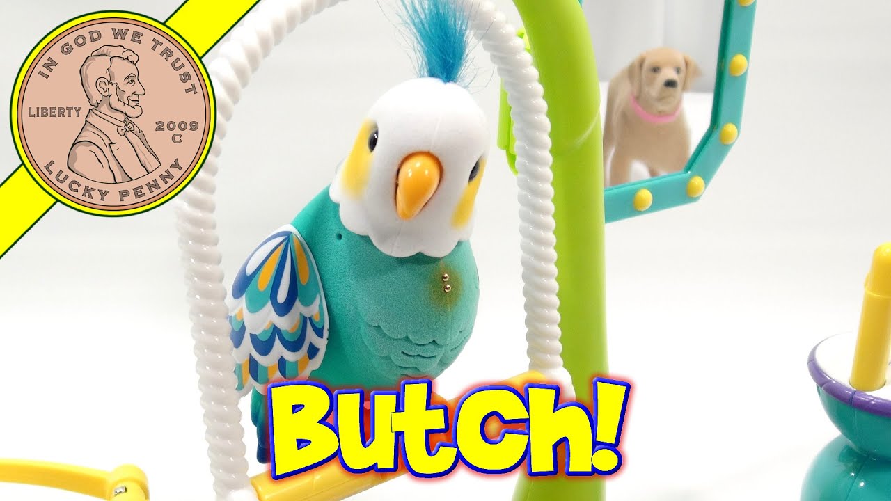 Little Live Pets Cleverkeet, I Name Him Butch The Bird!