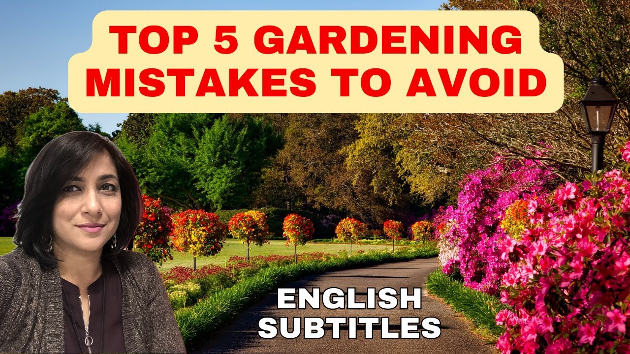 5 Common Gardening Blunders To Avoid! Top 5 Gardening Mistakes For Beginners (ENG SUB)