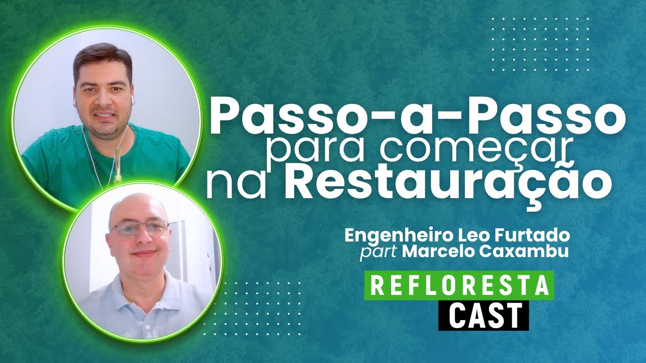 Passo-a-passo para começar na restauração ecológica e ganhar até 30k por mês | ReflorestaCast #1