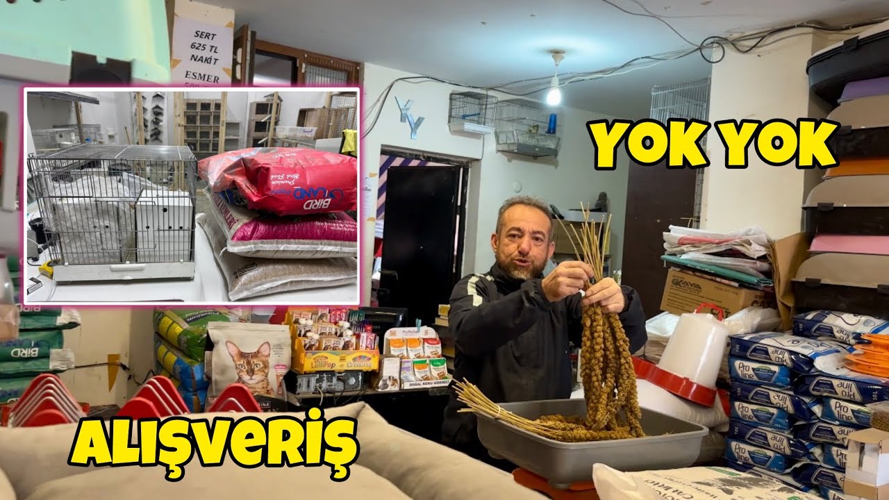 Kuşlara Harika Alış Veriş Yaptık 💯 Yem Kafes Yuvalık Suluk Tünek Mama Tüm Malzemeler 🕊️