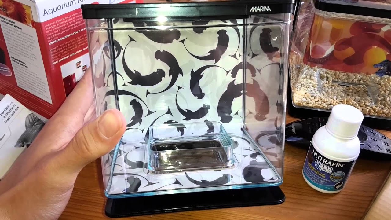 Comparaison aquarium betta 2l et 3l