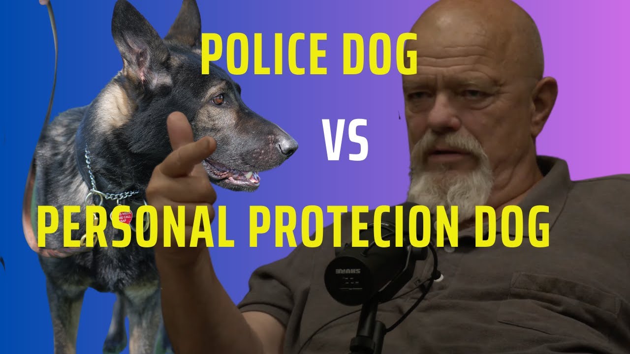 Police Dog vs Personal Protection Dog - What Is the Difference