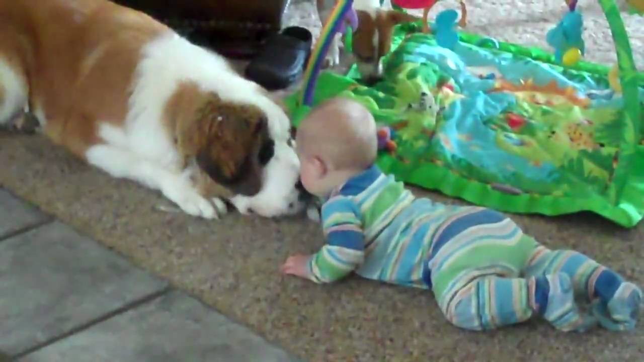 Brody and Bella. bella sharing her peice of ice