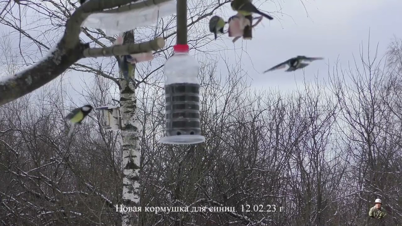 12. 02. 23 г.  Новая кормушка для синиц.