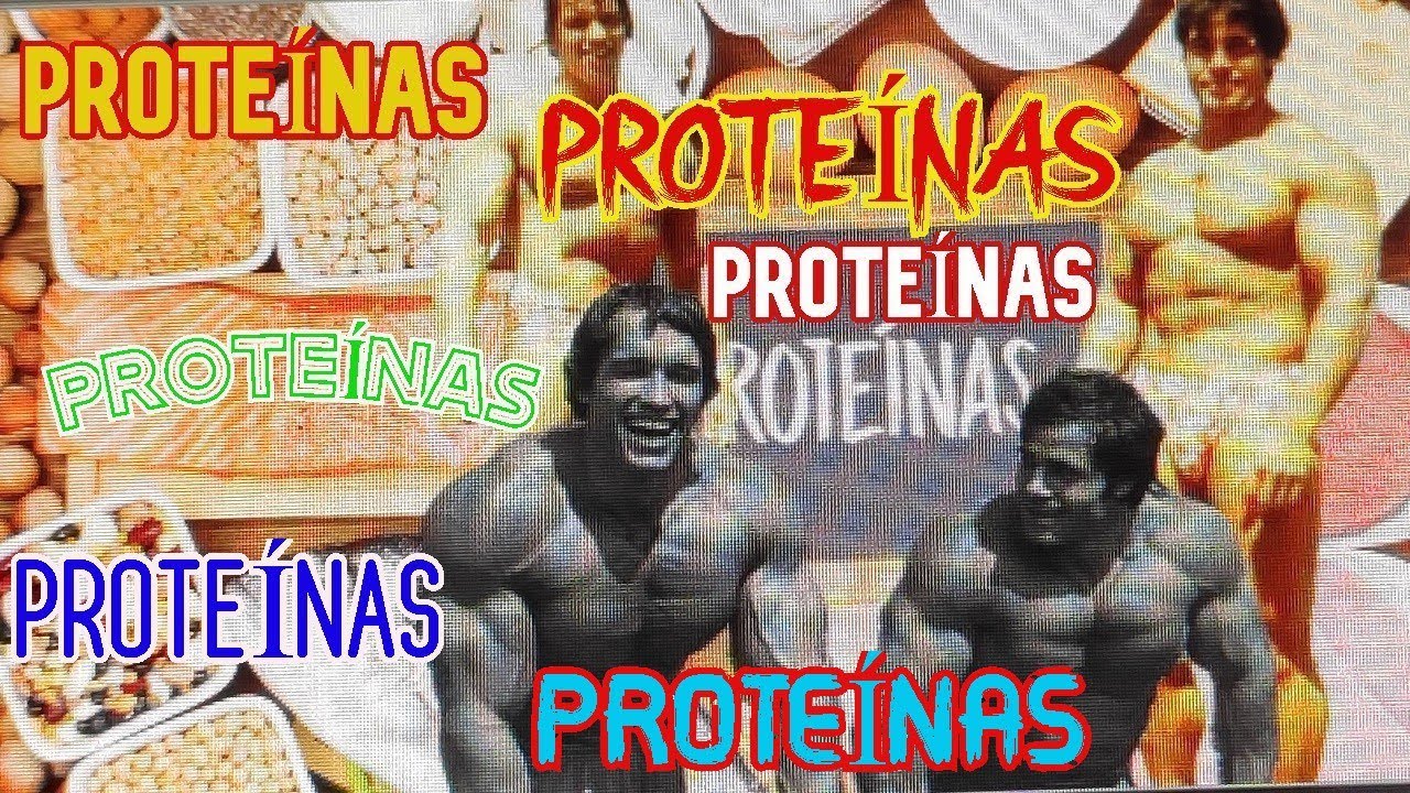 EL ALIMENTO DE LOS CULTURISTAS