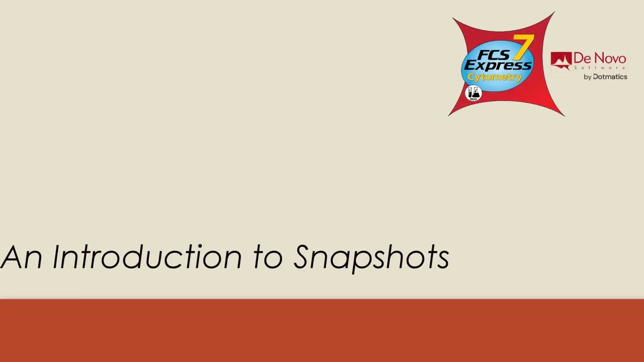 An Introduction to Snapshots
