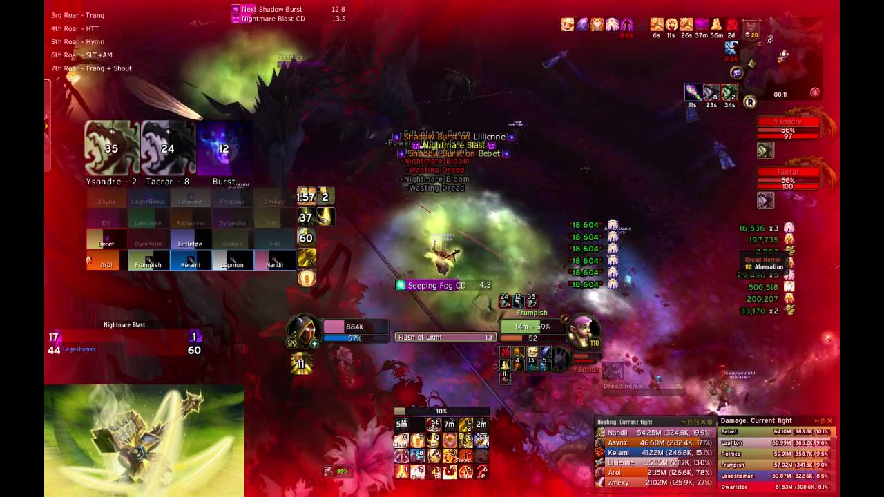 Ninth Order  Guild (Frostmane EU) vs. Dragons of Nightmare mythic kill video. Holy paladin PoV