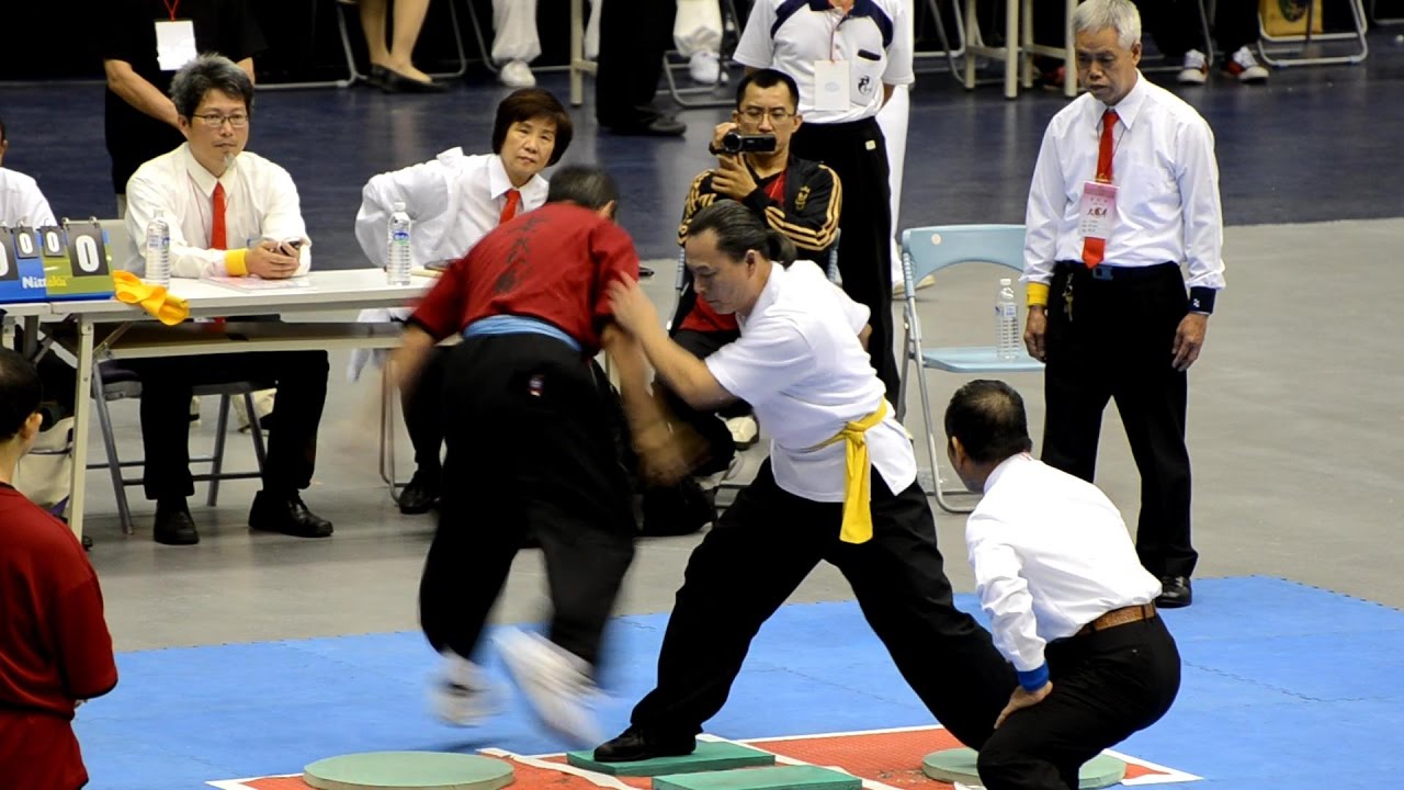 Tai Chi 2016 世界盃太極拳推手 壯年組 第四量級 冠亞軍賽-2 武勁太極