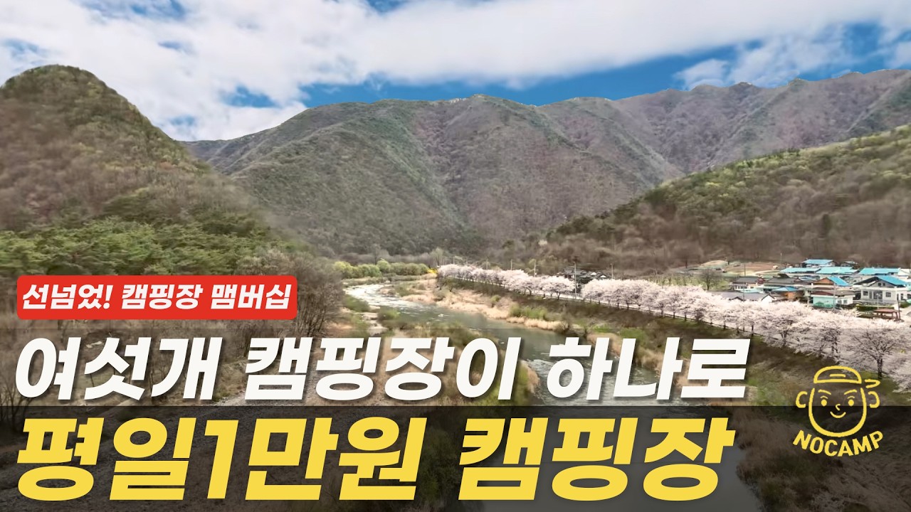작정하고 만든 듯... 구역마다 장르가 바뀌는 매직 캠핑장! 그러나 선넘은?? 캠핑장 맴버십제도 #테슬라차박