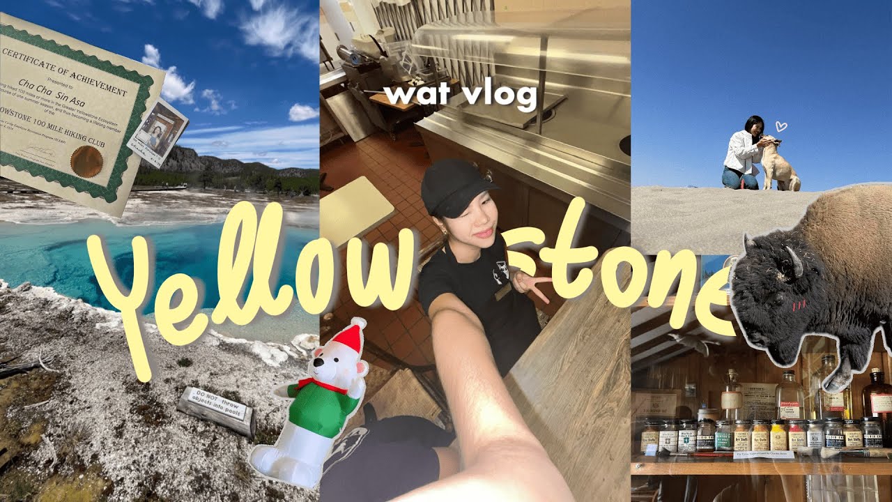 WORK AND TRAVEL VLOG | Last 7 days in Yellowstone (pt.1)