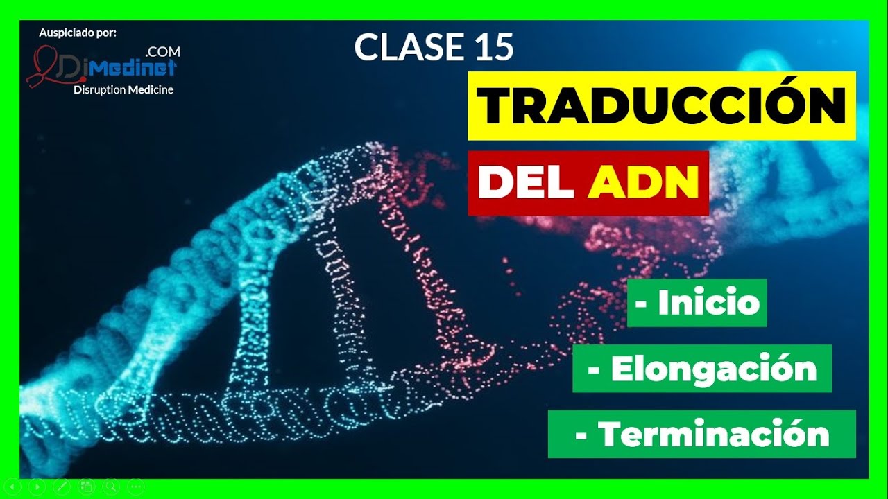 🟢 Traducci&oacute;n del ARN a prote&iacute;na 🧬【Curso de Biolog&iacute;a Molecular】