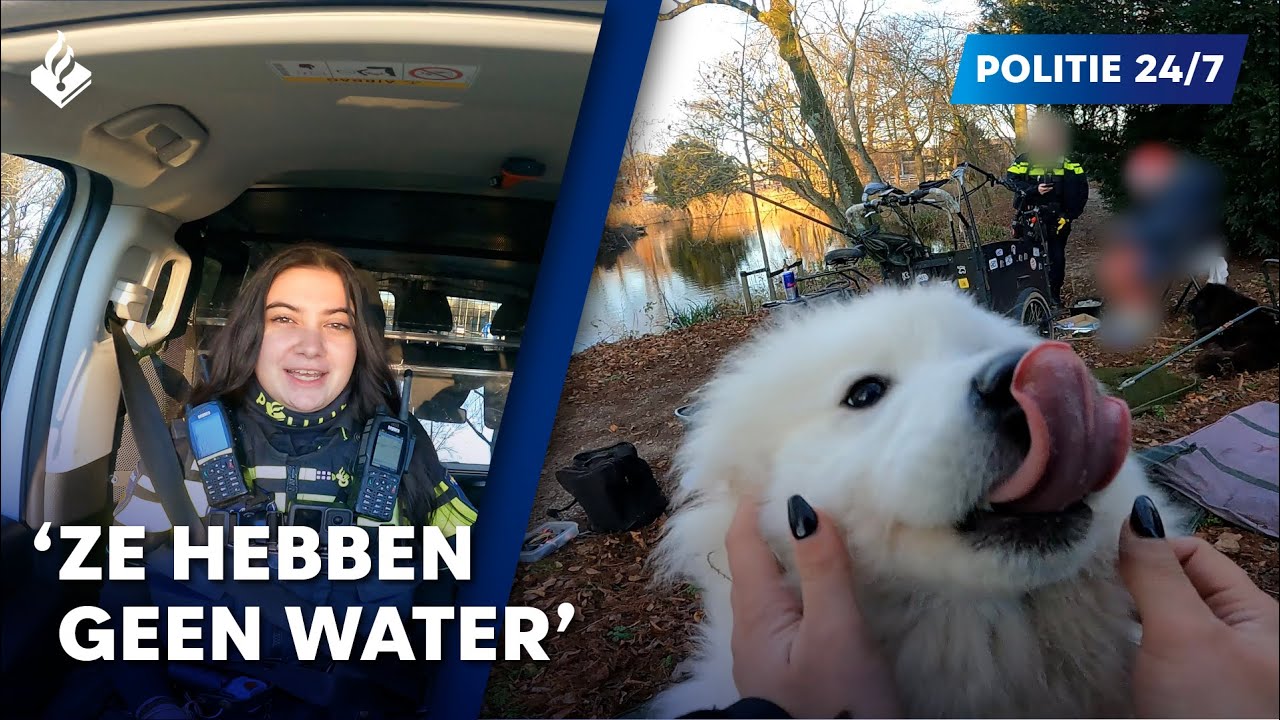 Politie 24/7 | Dierenpolitie | Blaffende honden