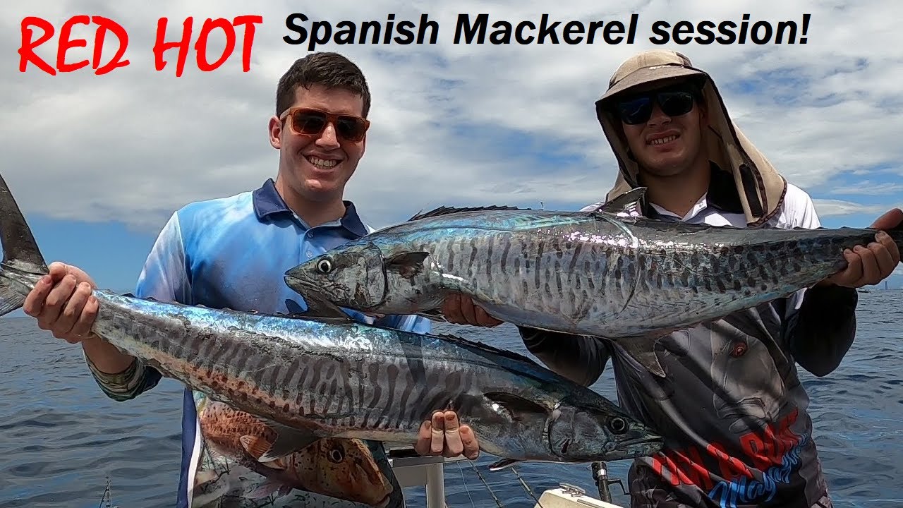 RED HOT Spanish Mackerel session - from 0 to 100!! (Lures & Bait)