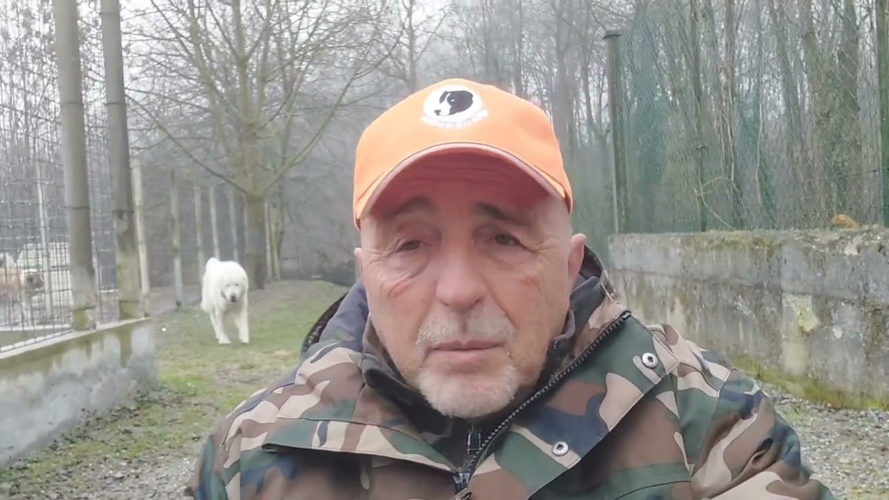 (3 di 8) - L'aggressività del cane È MOLTO IMPORTANTE per il suo equibrio di animale!