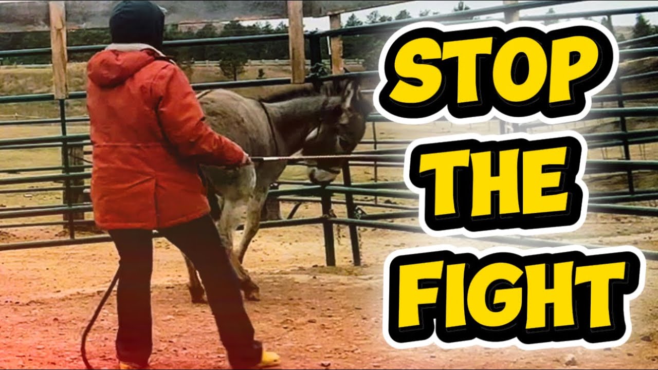 Stop the Planting & Pulling: The Exercise That Changes Everything