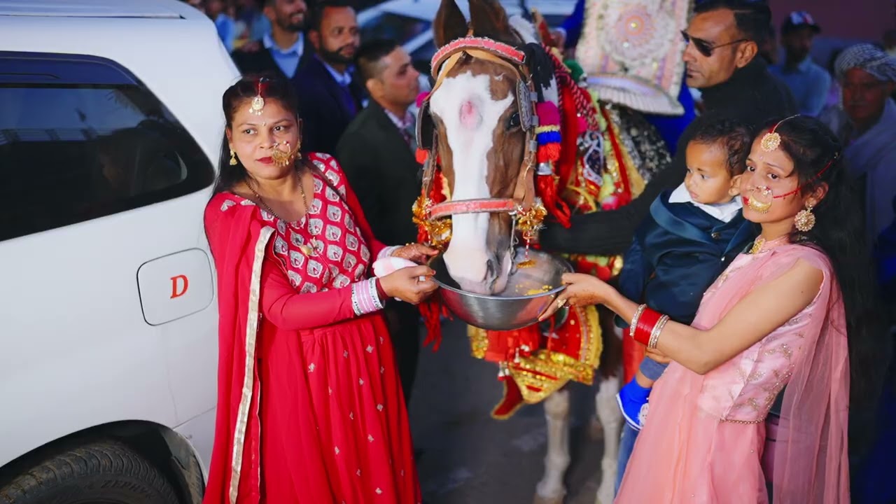 Sourav weds Staffy