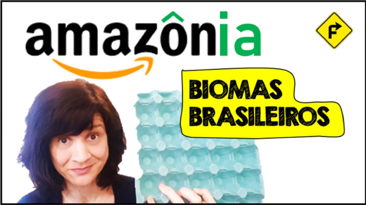 Bioma da Amazônia em uma caixa de ovo. (Biomas brasileiros)