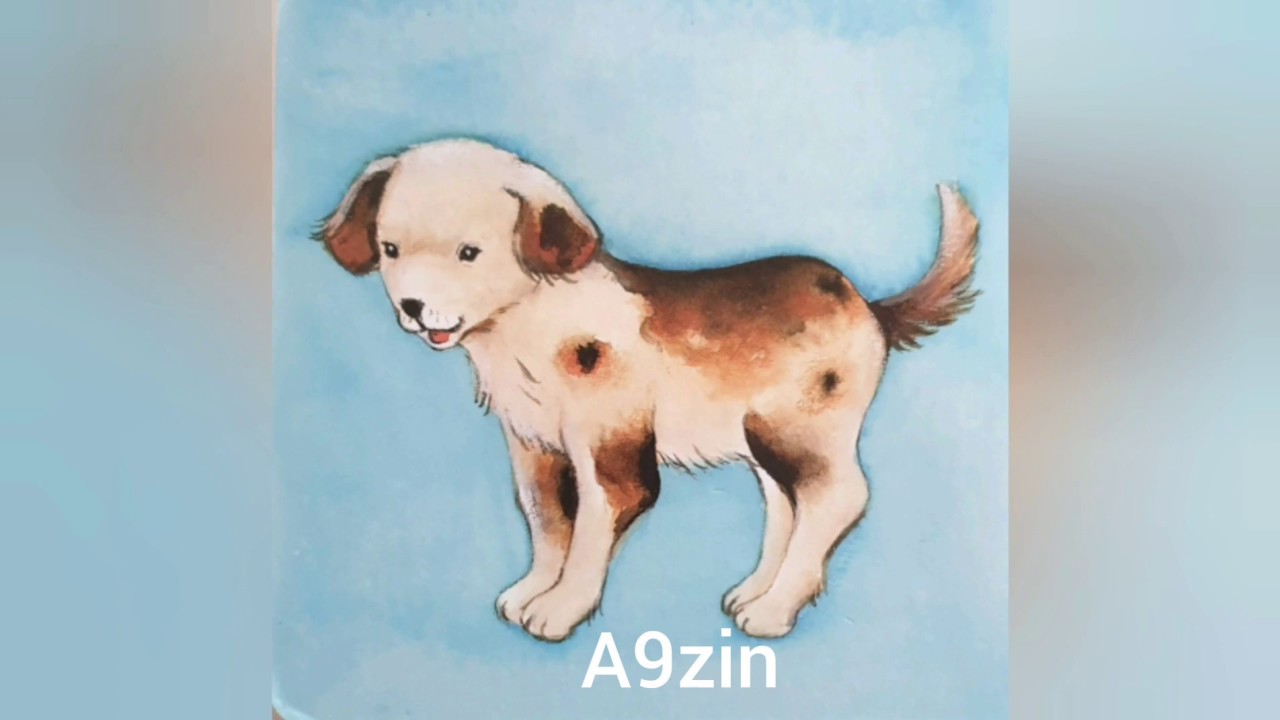 Lhayawan animals Tiere  tmazight nador